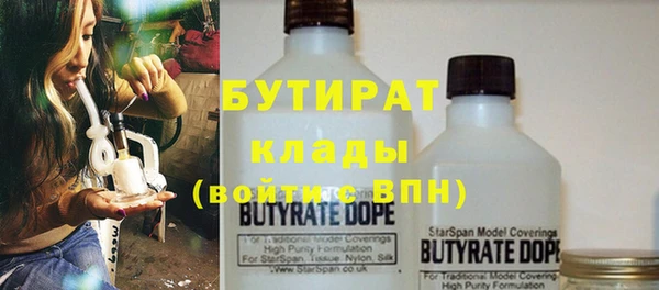 гидра Бородино