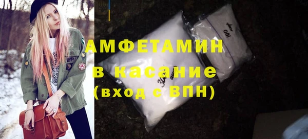 гидра Бородино
