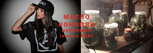 гидра Бородино