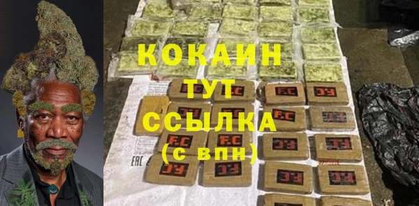 гидра Бородино