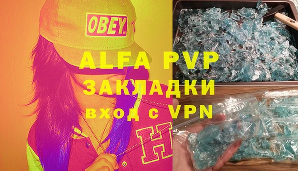 гидра Бородино