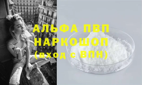 гидра Бородино